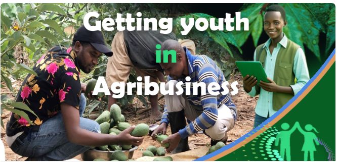 Agribusiness
