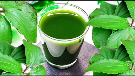 Ugu Leaf Juice