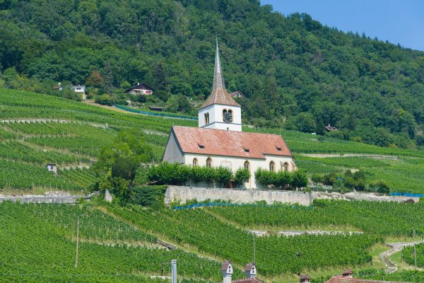 Lists of Agricultural Loans That You Would Like